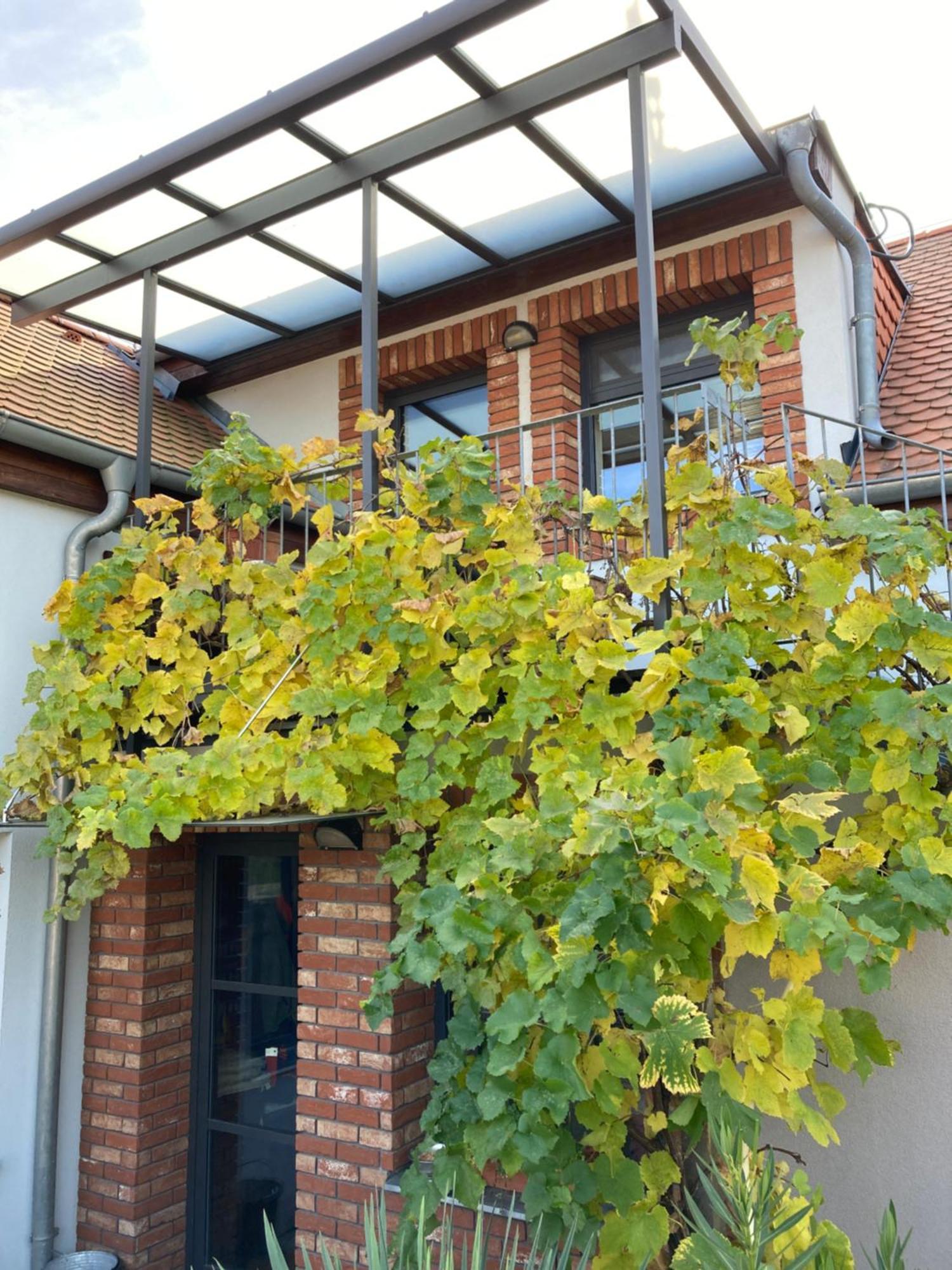 Vinarsky Dvur Turna Apartament *